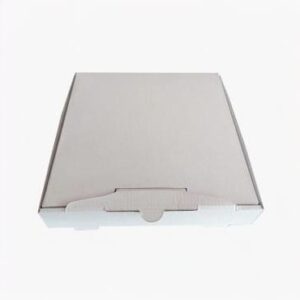 Baskısız Pizza Kutusu 100 Adet 24cm X 24cm X 4,2cm
